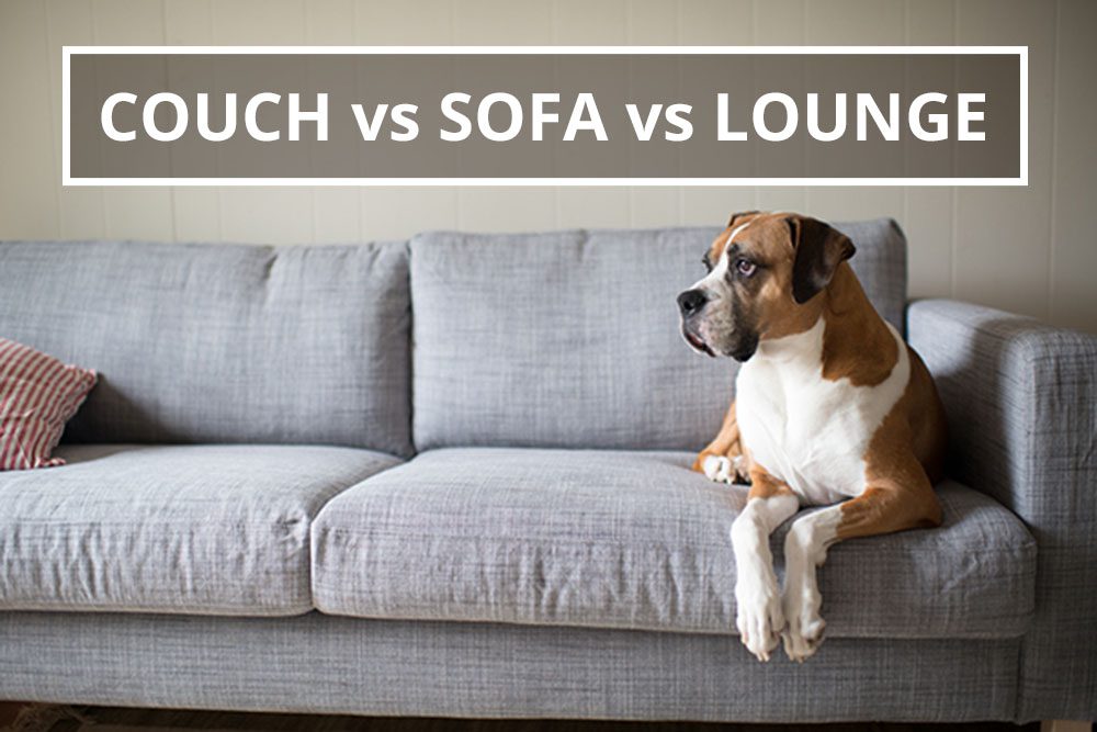 Q A Couch Vs Sofa Lounge, Kind Of Sofa Or Couch Crossword